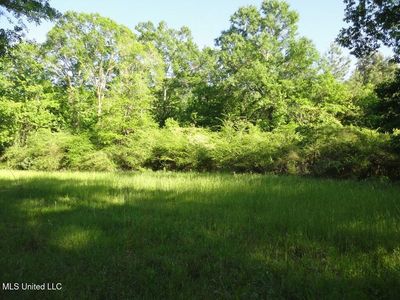 0 Maurice Rd, Magnolia, MS, 39652