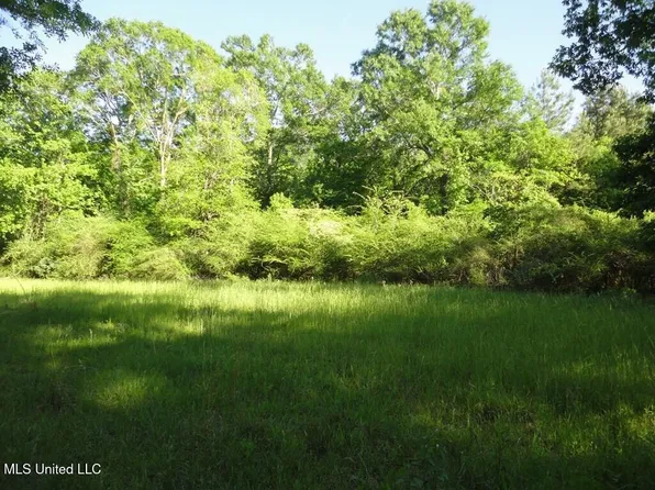 0 Maurice Rd, Magnolia, MS 39652