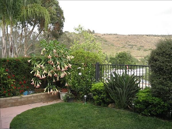 1st image of 11641 Trailbrook Ln