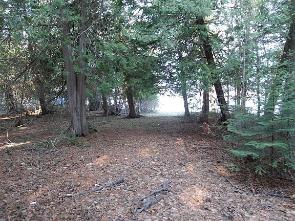 3rd image of 1681 E Mullett Lake Road Parcel A & B & #C