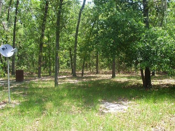 Fence portion of back yard