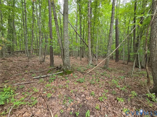 5.6 Meadow Creek Rd Lot 1, Wingina, VA 24599