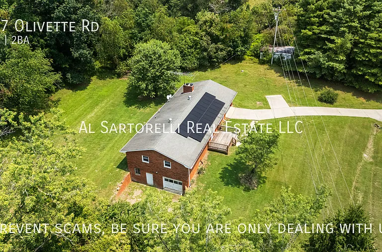 917 Olivette Rd — Photo 36