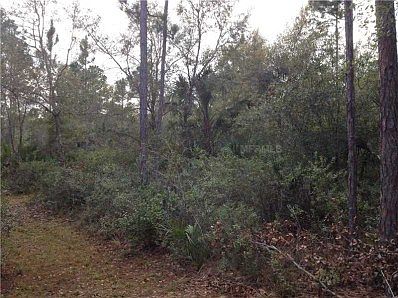 2nd image of 3118 E Osceola Rd