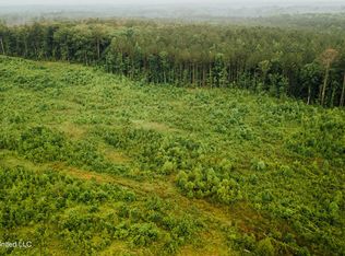 Patt Cobb Rd, Canton, MS 39046