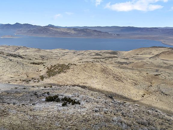 3rd image of 405 Stallion Dr