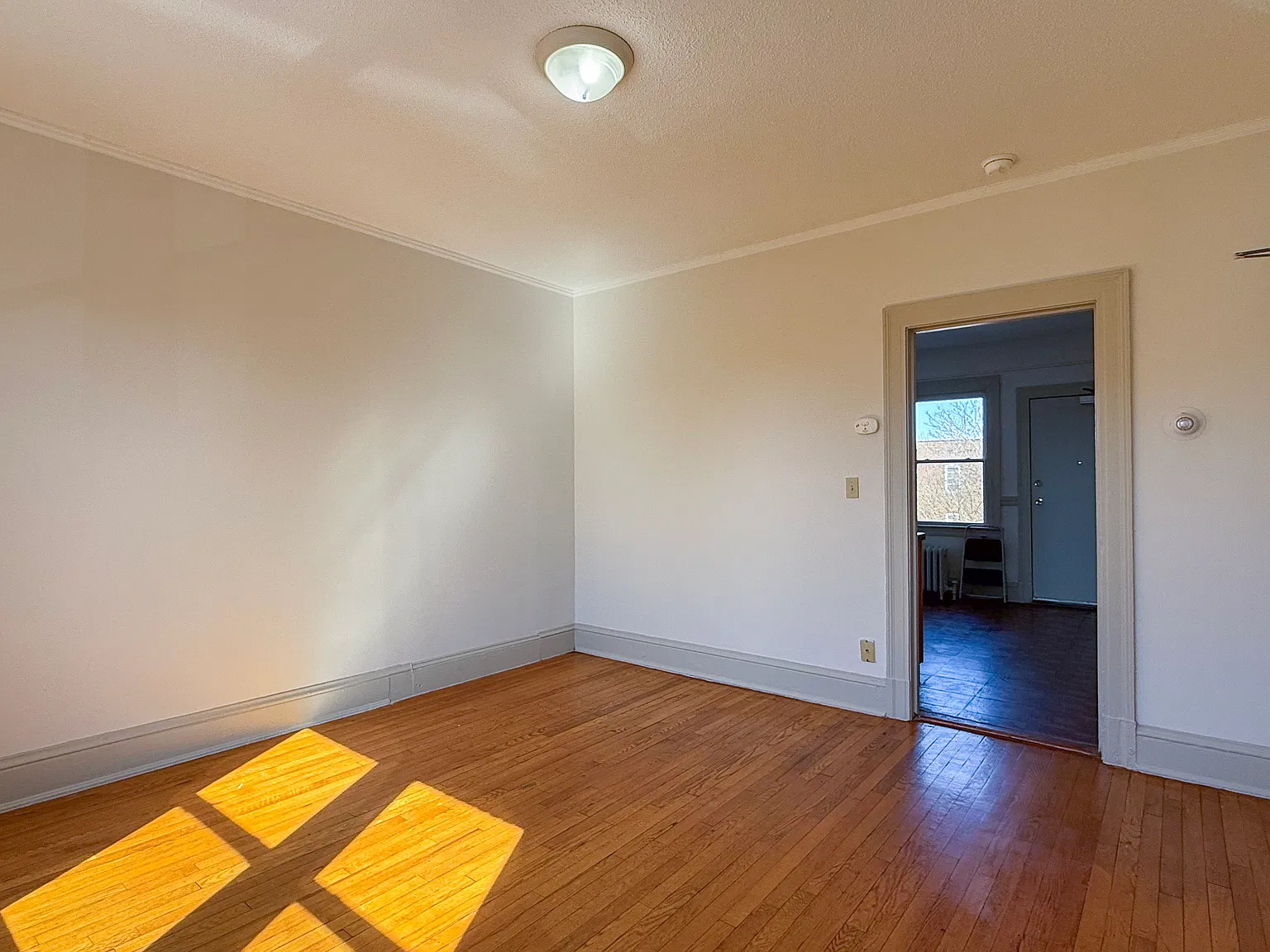 1 bed, $1,300 — Photo 2