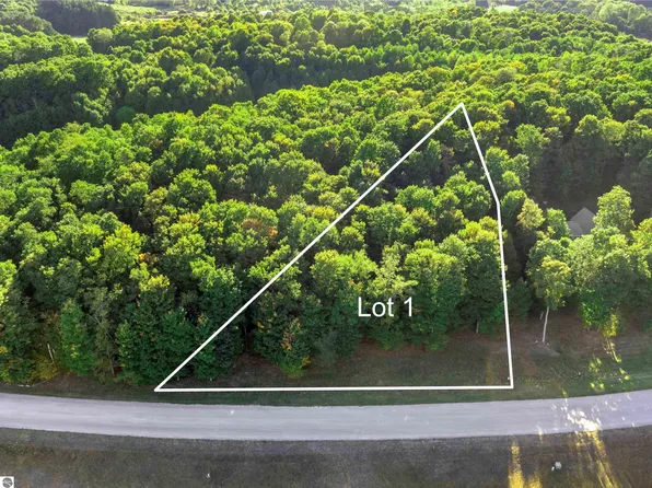 1 Heather Ridge Trl, Beulah, MI 49617