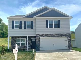 115 Mint Ct, Bluff City, TN 37618