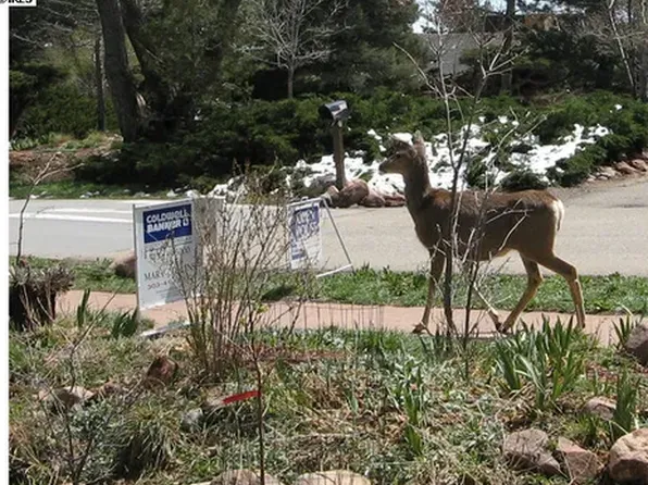 1695 Norwood Ave, Boulder, CO 80304