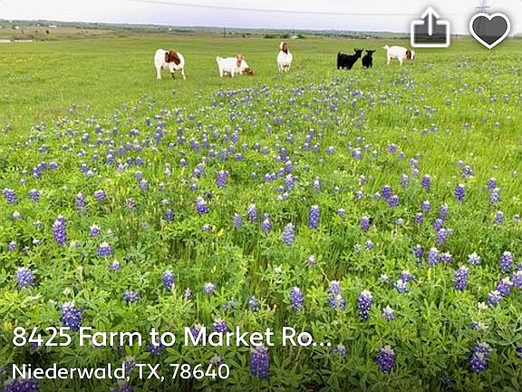 8425 FM 2001, Kyle, Texas 
