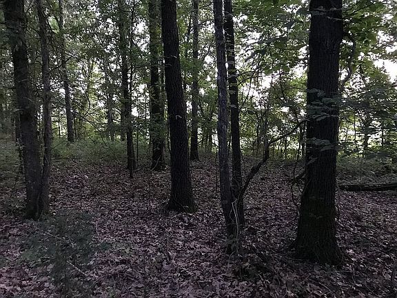 2nd image of 0 County Road 280