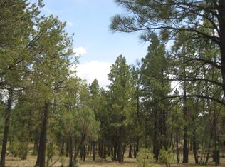 4916 Bald Eagle Way, Happy Jack, AZ 86024