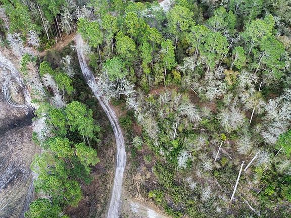 Dji Fly 20260306 165514 866 1772847398214 Photo Optimized