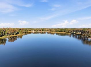 16921 Crawley Rd, Odessa, FL 33556