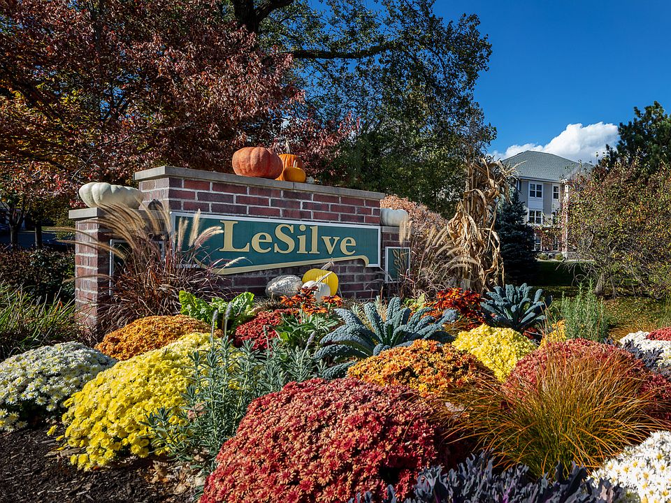 Welcome to LeSilve!