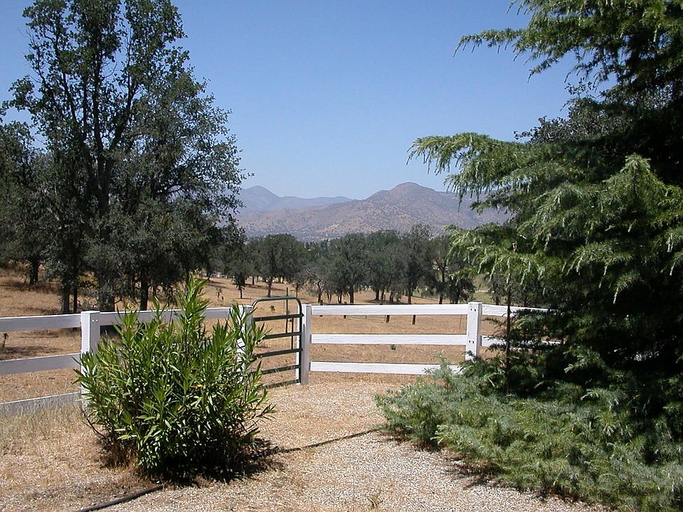 View from House to Pasture