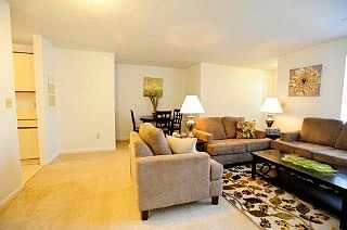 Bright and open living and dining room!