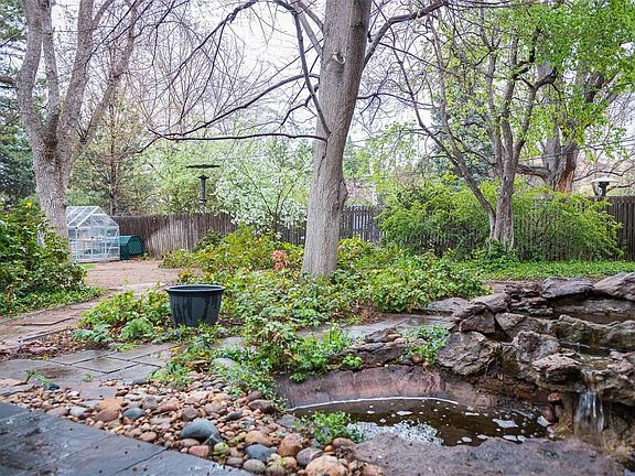 Backyard pond & greenhouse.