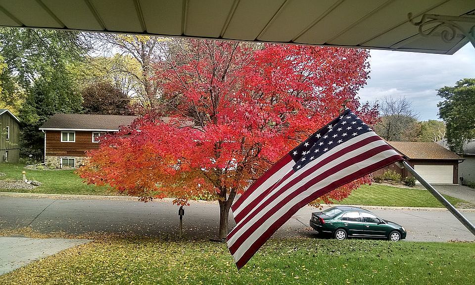 Looking out the front door
