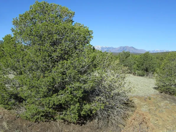 341 Rio Cucharas, Walsenburg, CO 81089