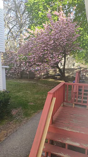 31 Clym St #1 Photo 1