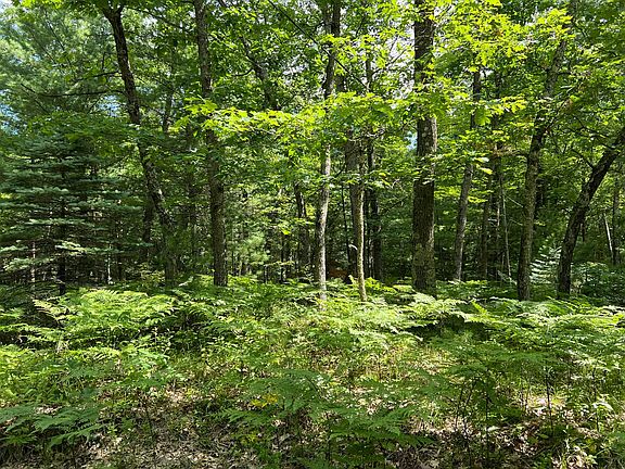 3rd image of 11628 N White Pine Dr