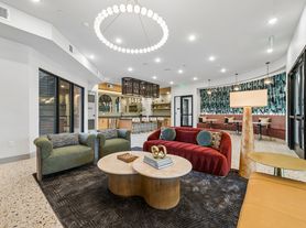 Millennium Village
