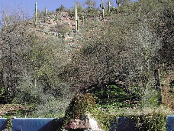 5th image of 88725 E Aravaipa Vistas #3