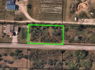 Chardonnay Dr, Kelleys island, OH 43438