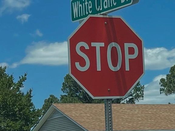 4th image of 17 White Crane Dr