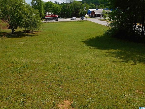 3rd image of 0 Us Highway 11 #1