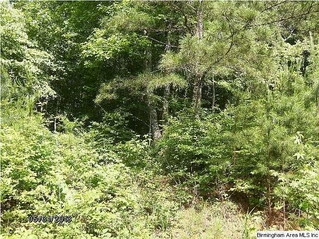 2nd image of 3199 Wilkinson Rd