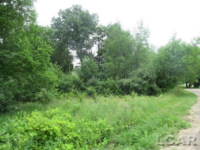 11620 Greenlawn Dr, Jerome, MI, 49249