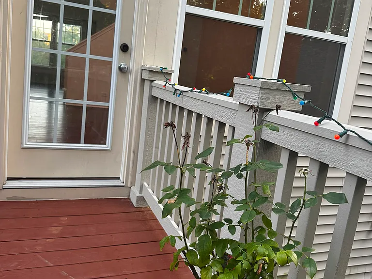 3335 Kentshire Cir — Photo 31