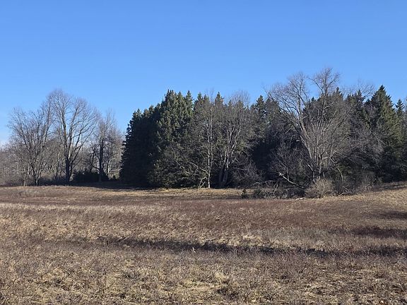 5th image of 2 Mile Rd