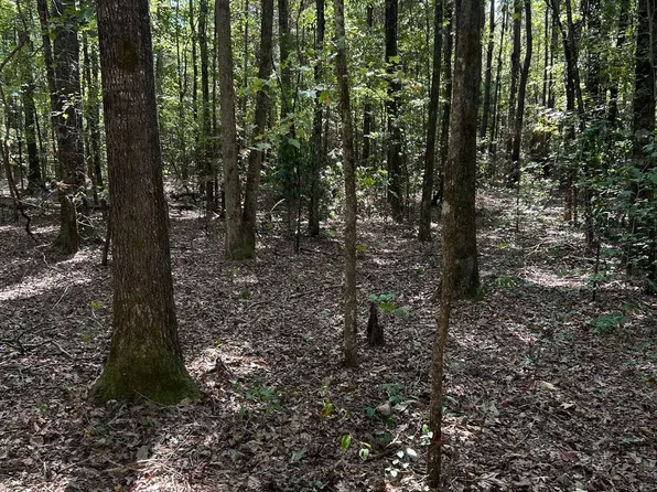 Highway 278, Sulligent, AL 35586