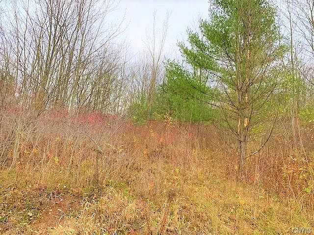 2nd image of 610 Wells Rd