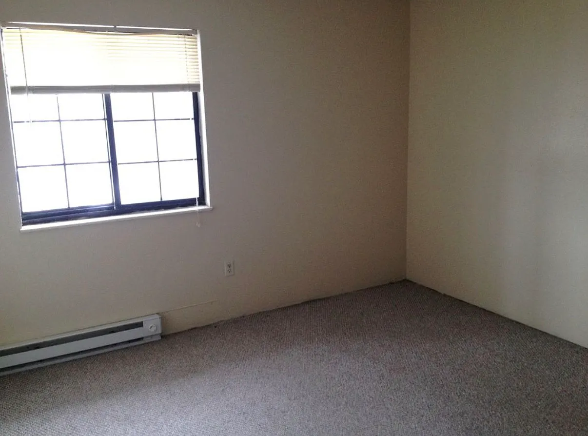 1 bed, $650 — Photo 4