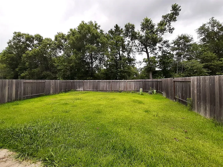 911 Cobalt Crest Ln — Photo 11