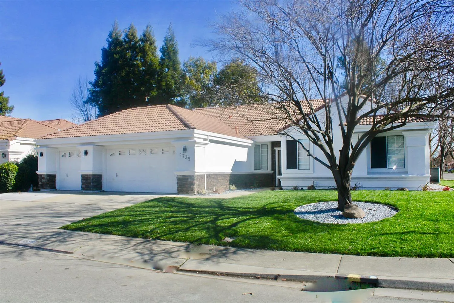 1725 Meadowlark Way photo 1