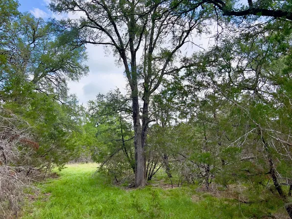 LOT 43 Narrows Rd #1, Blanco, TX 78606