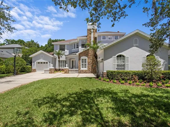2113 Climbing Ivy Dr, Tampa, FL 33618