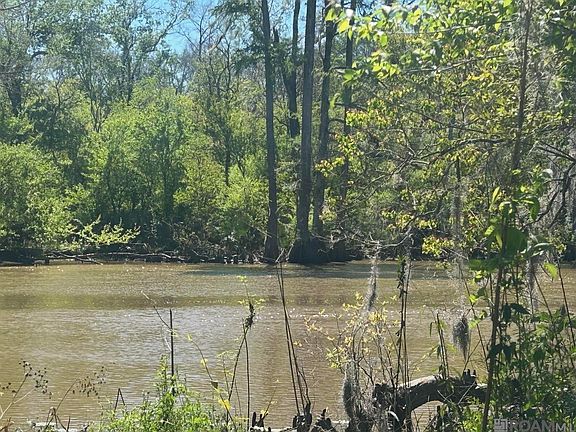 5th image of 24 La Trace Rd