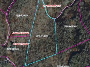 198 Widgeon Way, Whittier, NC 28789