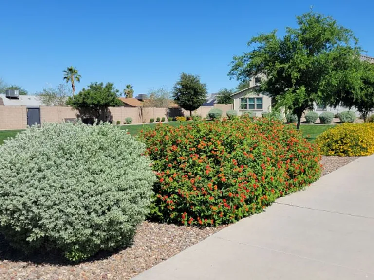 1648 S 82nd Way — Photo 37