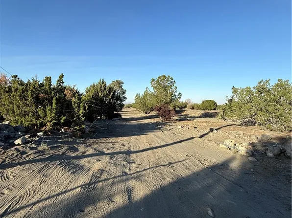 3038 White Fox Trl, Pinon Hills, CA 92371