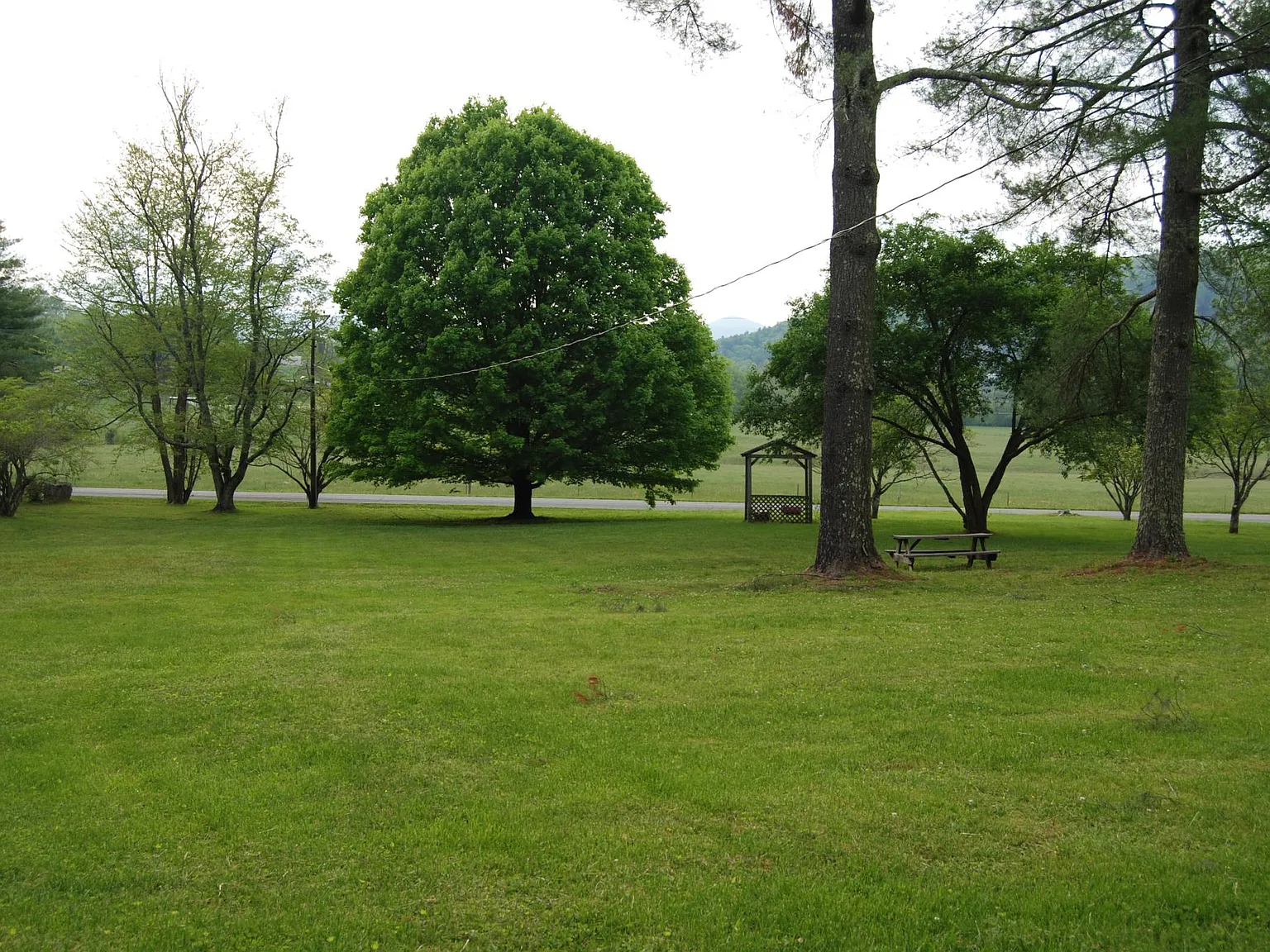 344 Talley Road Cabin — Photo 3