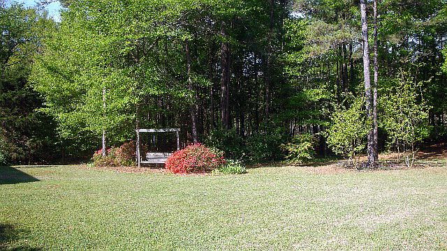 Beautiful back yard