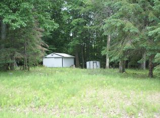 6909 Needles Rd, Indian River, MI 49749